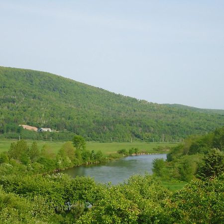Cajun Cedar Log Cottages Margaree Forks Ngoại thất bức ảnh
