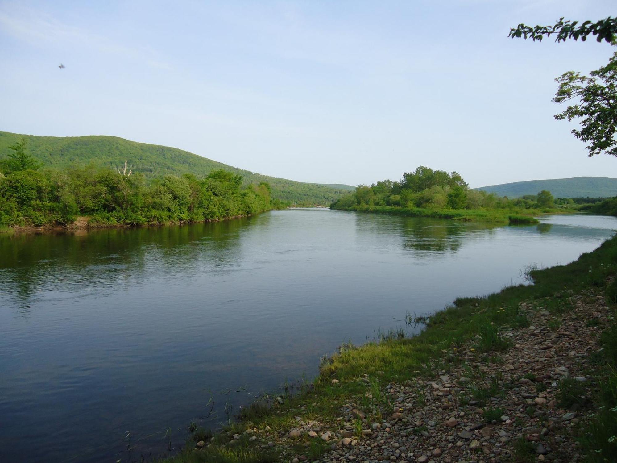 Cajun Cedar Log Cottages Margaree Forks Ngoại thất bức ảnh