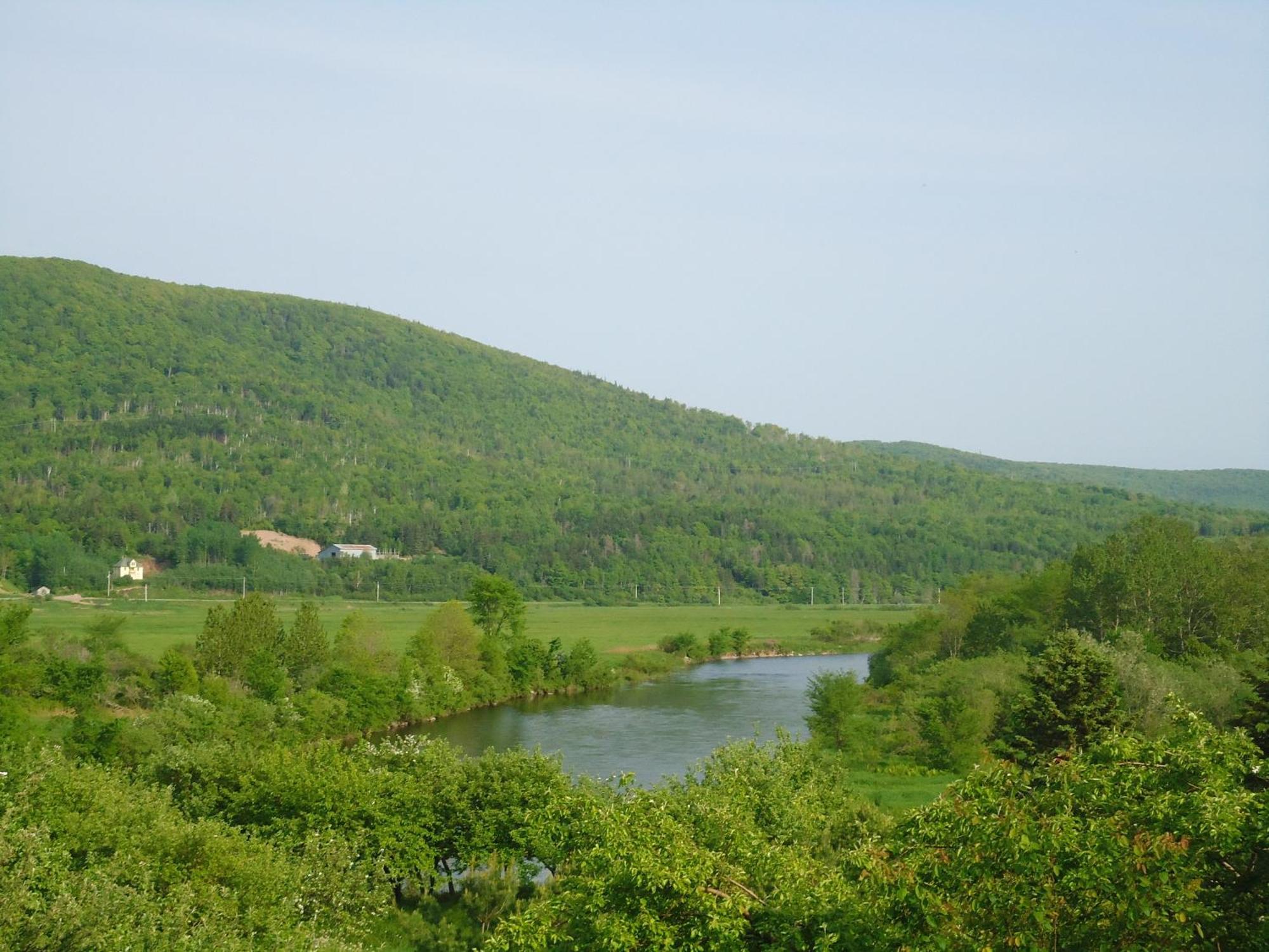 Cajun Cedar Log Cottages Margaree Forks Ngoại thất bức ảnh