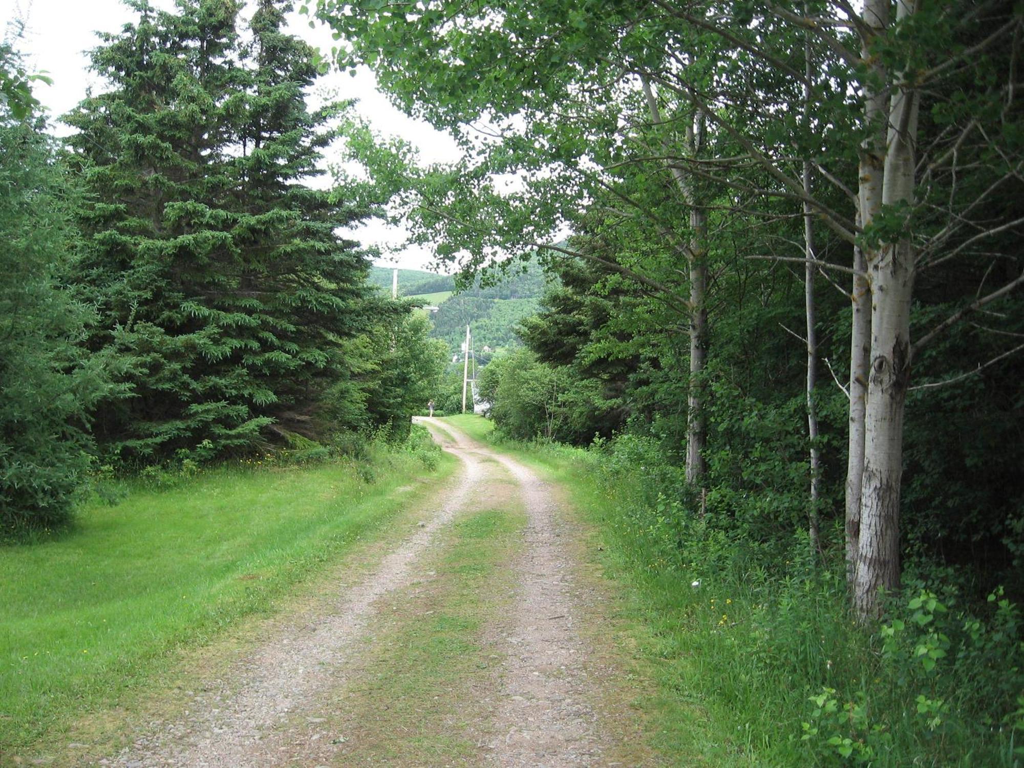 Cajun Cedar Log Cottages Margaree Forks Ngoại thất bức ảnh