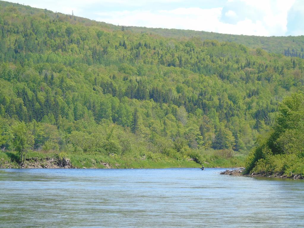 Cajun Cedar Log Cottages Margaree Forks Ngoại thất bức ảnh
