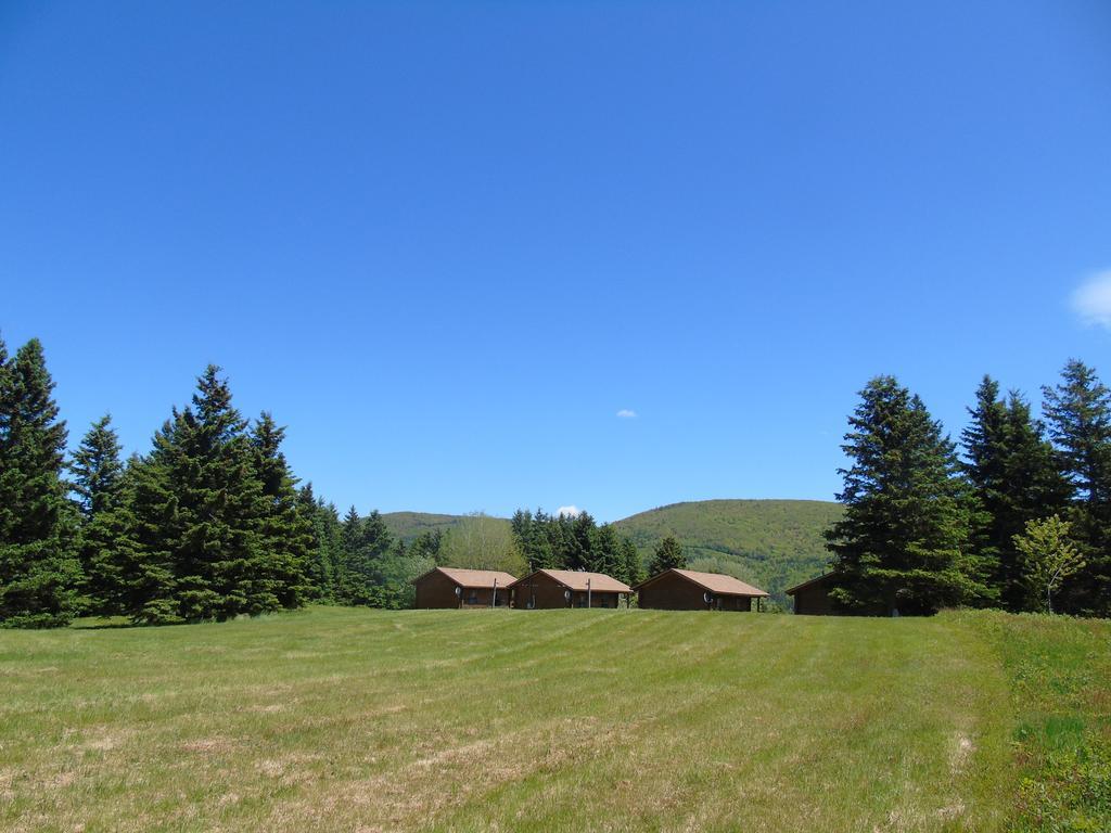 Cajun Cedar Log Cottages Margaree Forks Ngoại thất bức ảnh