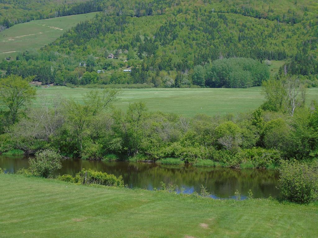 Cajun Cedar Log Cottages Margaree Forks Ngoại thất bức ảnh