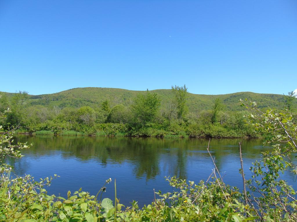 Cajun Cedar Log Cottages Margaree Forks Ngoại thất bức ảnh