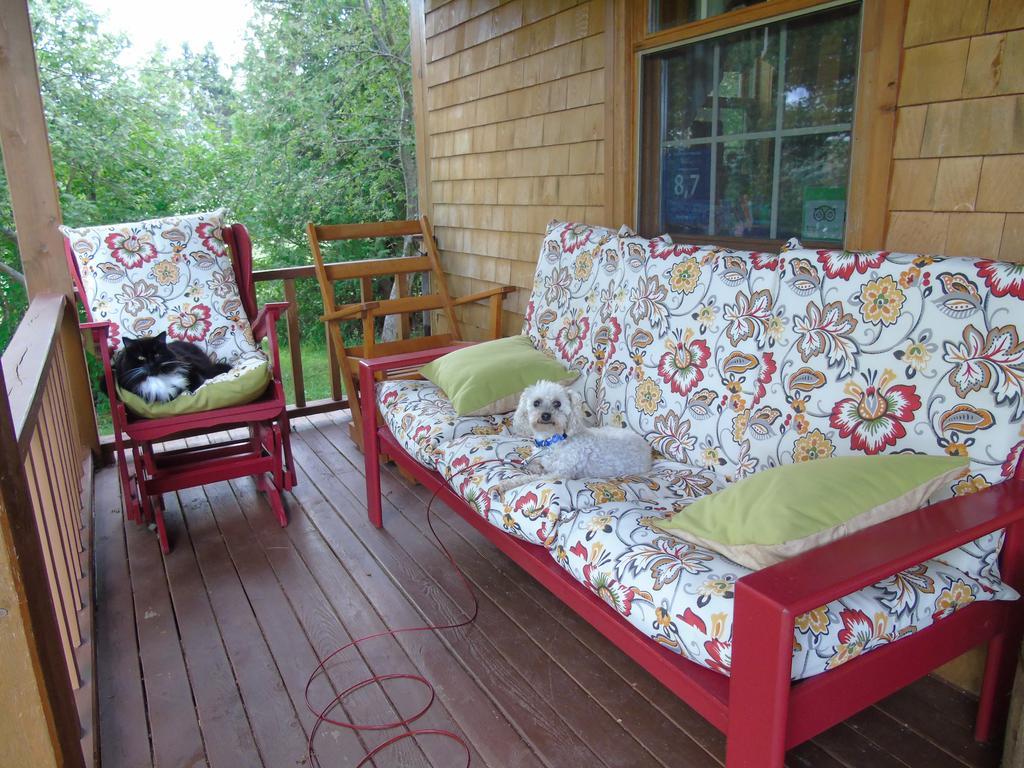 Cajun Cedar Log Cottages Margaree Forks Ngoại thất bức ảnh