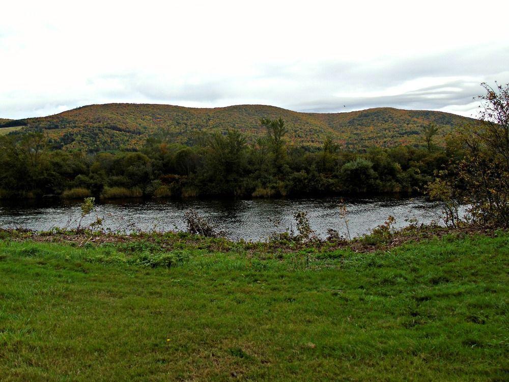 Cajun Cedar Log Cottages Margaree Forks Ngoại thất bức ảnh
