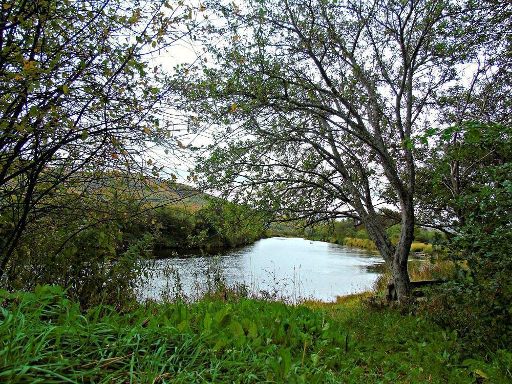 Cajun Cedar Log Cottages Margaree Forks Ngoại thất bức ảnh