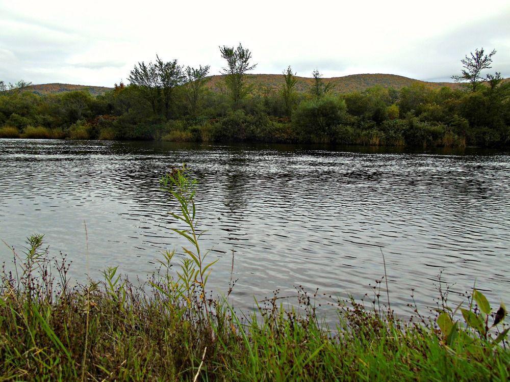 Cajun Cedar Log Cottages Margaree Forks Ngoại thất bức ảnh