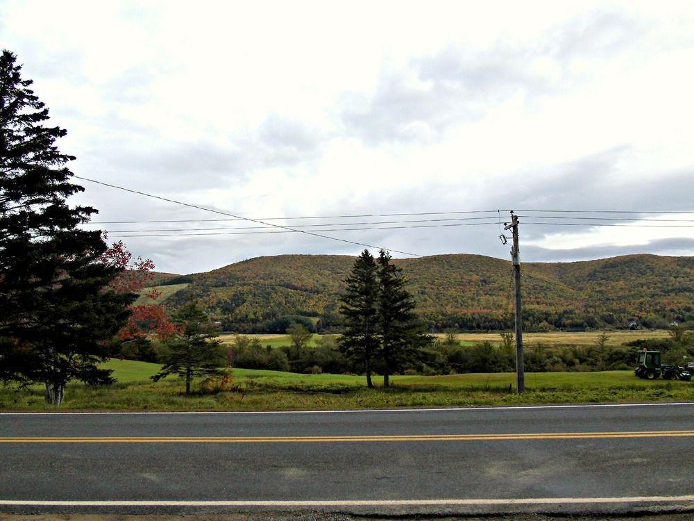 Cajun Cedar Log Cottages Margaree Forks Ngoại thất bức ảnh