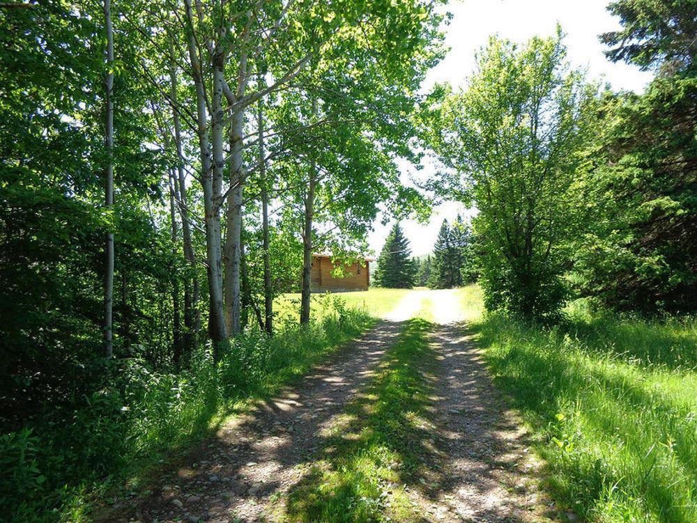 Cajun Cedar Log Cottages Margaree Forks Ngoại thất bức ảnh