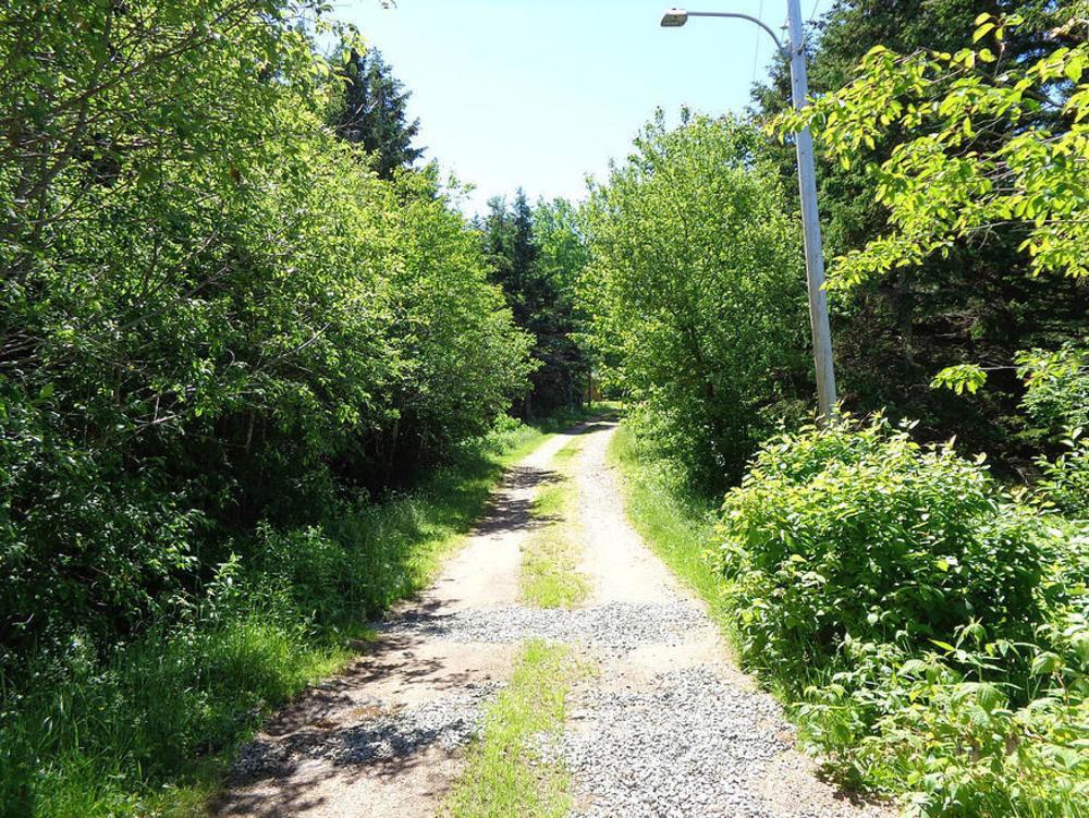 Cajun Cedar Log Cottages Margaree Forks Ngoại thất bức ảnh