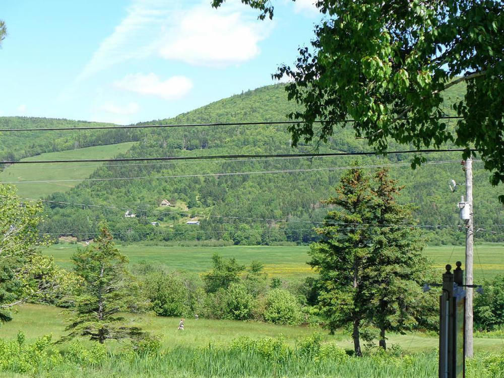 Cajun Cedar Log Cottages Margaree Forks Ngoại thất bức ảnh
