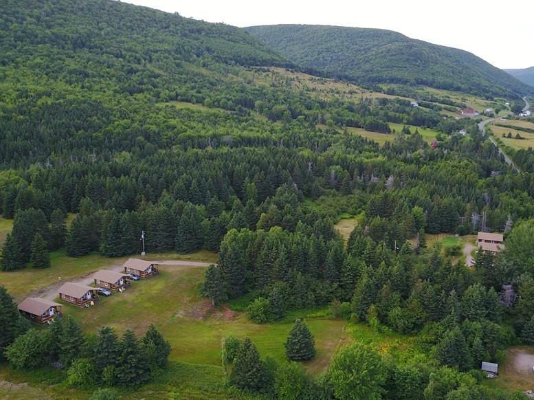 Cajun Cedar Log Cottages Margaree Forks Ngoại thất bức ảnh