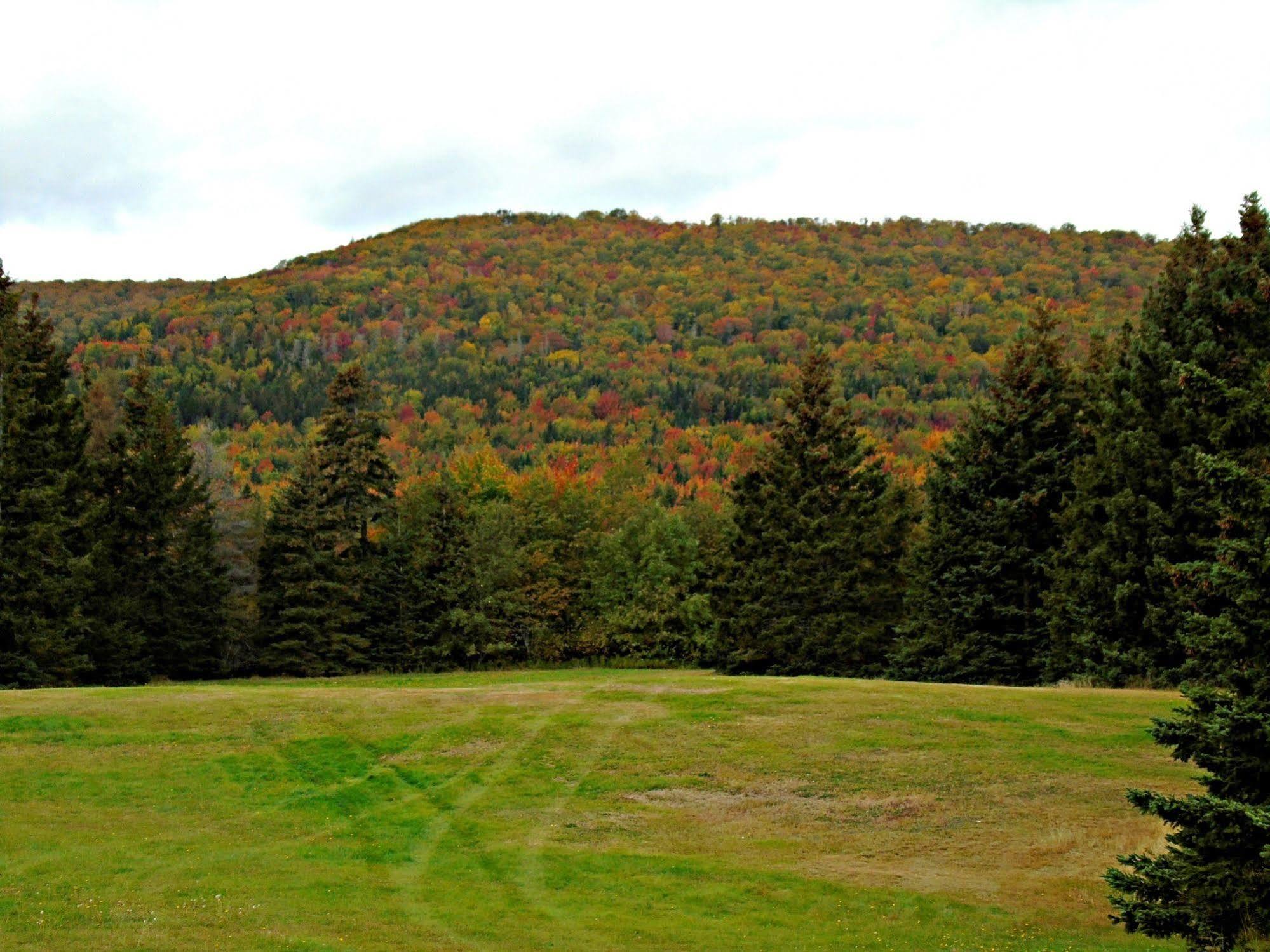 Cajun Cedar Log Cottages Margaree Forks Ngoại thất bức ảnh