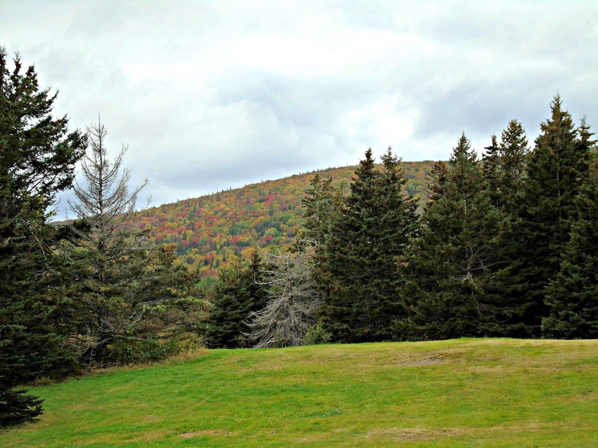 Cajun Cedar Log Cottages Margaree Forks Ngoại thất bức ảnh
